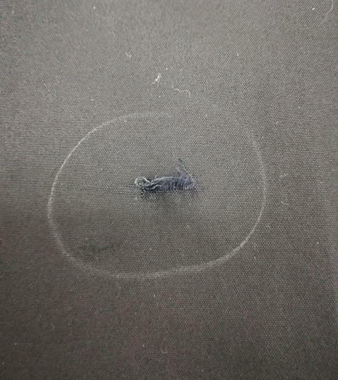 Черный брюки с дыркой